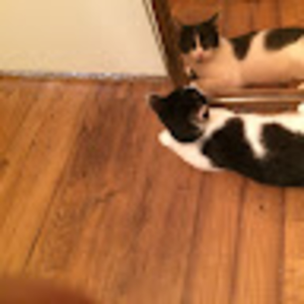 Meet your Posher, Amanda